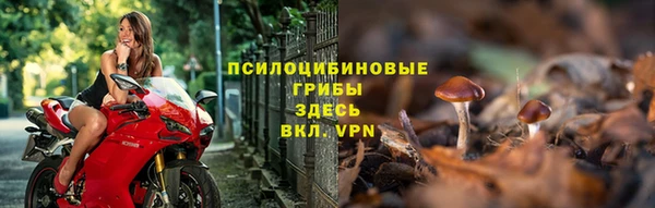 гидропоника Бугульма