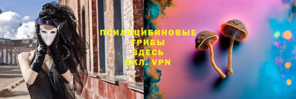 2c-b Бронницы