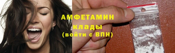 дурь Бородино