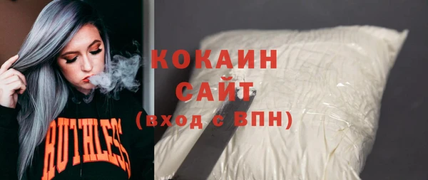 дурь Бородино