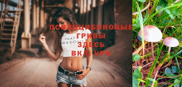 гидропоника Бугульма