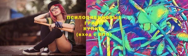 дурь Бородино