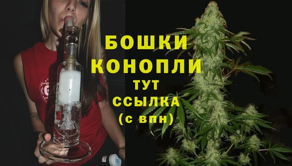 дурь Бородино