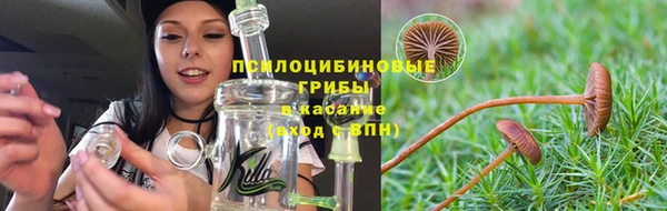 гидропоника Бугульма