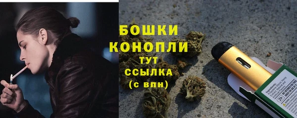 гидропоника Бугульма