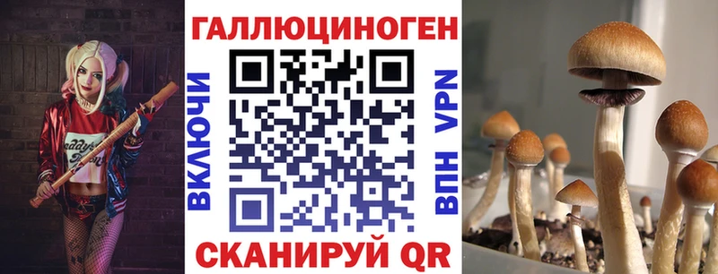 Галлюциногенные грибы Psilocybine cubensis  Купить  Остров 
